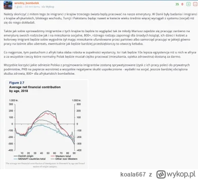 koala667 - W Danii imigranci pobierają więcej benefitów niż wpłacają do budżetu. Upad...