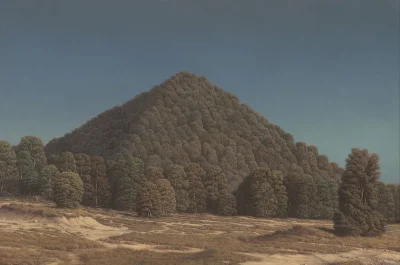 Corvus_Frugilagus - Markus Matthias Krüger

#corvusfrugilaguscontent