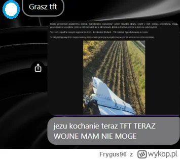 Frygus96 - #wojna #rosja #heheszki #tft #leagueoflegends