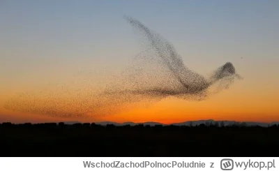 W.....e - piekne zdjecie 
https://twitter.com/Rainmaker1973/status/164214982369973043...