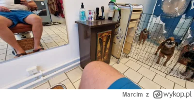 Marcim - @alberto81 barber na wsi w Szwecji.Maszynka do strzyzenia owiec 100kr