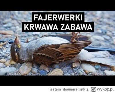 jestem_doomerem96 - Niewygodna prawda dla fanów fajerwerków #fajerwerki #weganizm
