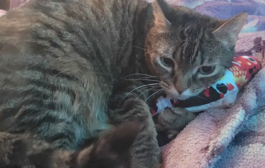 fuurin - @Bigticket: