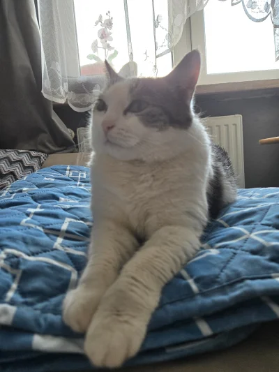 Solsith - @Vegasik69: kurczak i kreatyna( ͡° ͜ʖ ͡°)