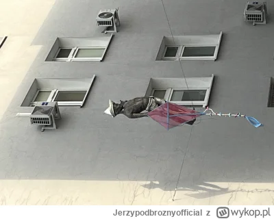 Jerzypodbroznyofficial - #2137 #poznan a któż to przemyka między budynkami szpitala d...