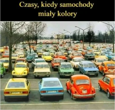 kokot1 - #kiedystobylo #samochody #nosaczsundajski