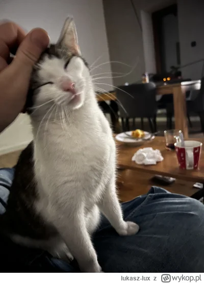 lukasz-lux - zadowolon

#pokazkota