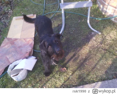 rsk1990 - Hej nigdy nie robiłem wpisa żebro plusa ale musi być ten pierwszy raz. :) W...