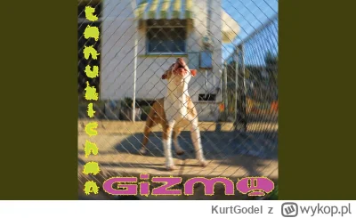 KurtGodel - `11
#nothingbutdreampopdecember #godelpoleca #muzyka #dreampop #shoegaze
...