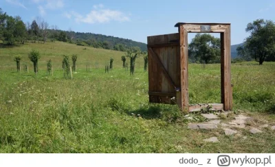 dodo - > > O ile drzwi nie stoją w polu.

@RichtigPiwosz: Masz na myśli takie? ( ͡° ͜...