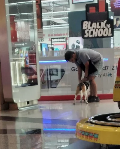 cinivo237 - przepraszam, załączam sprostowanie: nie wolno tylko do strefy gastro ( ͡°...