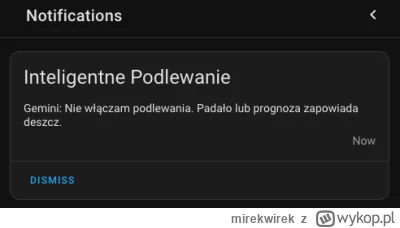 mirekwirek - Zrezygnowałem z zakupu komercyjnego systemu nawadniającego na rzecz rozw...