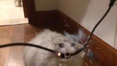 dywergent - ide spac, obym sie juz nigdy nie obudzil