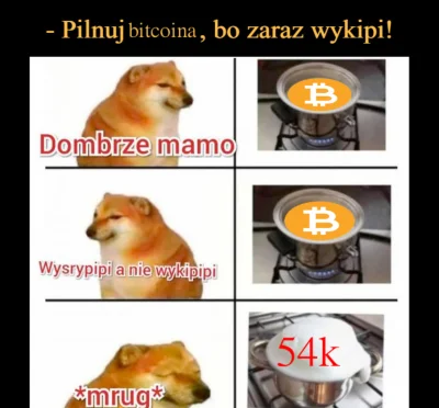 assninja - #bitcoin