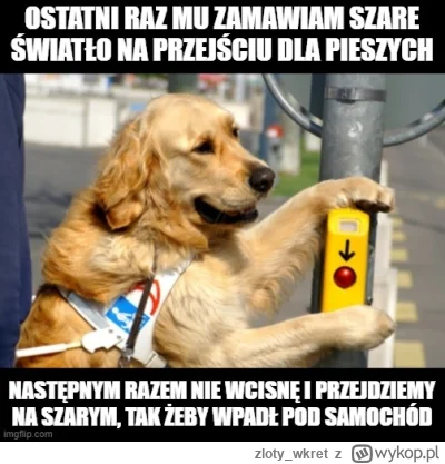 zloty_wkret - #psy #pies #piesprzewodnik