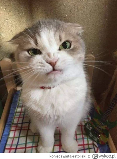 koniecswiatajestbliski - @mocarnyknur:  ŻAPKA OTWARTA!