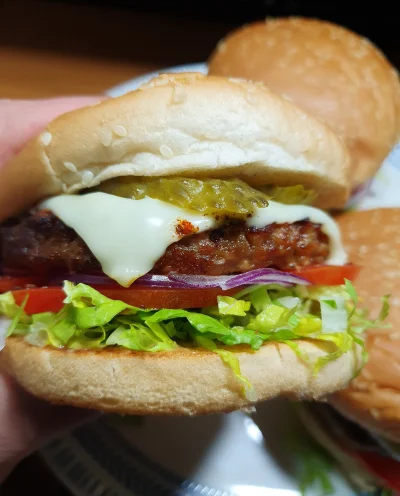 cheeseandonion - Dobrze to robię...?  xD


#gotowanietomojapasja #burger