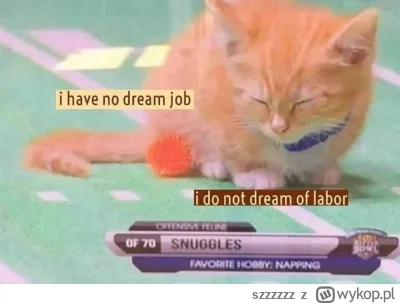szzzzzz - not dreaming of labour
#koty #antykapitalizm #robotatkglupota