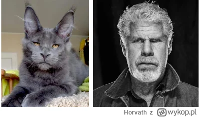 Horvath - @Spooky_Johnny