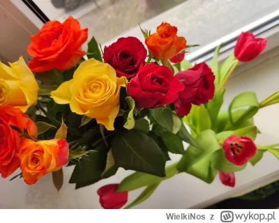 WielkiNos - @HWD-5 ja dostałam 8 marca 2 bukiety: róże i tulipany. Właśnie im zmienia...