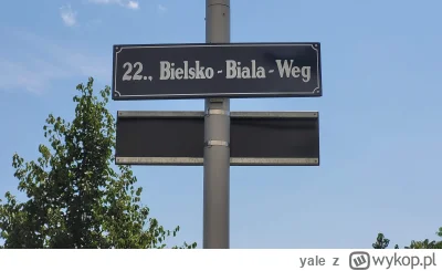 yale - Historii powstania nazwy tej ulicy i tak pewnie nie zrozumiecie. 
Ja też :D

#...