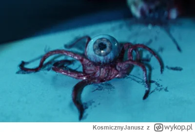 KosmicznyJanusz - >na których losie nam nie zależy
@patryk-wuwuw: mi tam zależało na ...