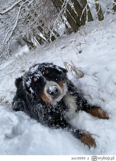 aoc9069 - @kidi1 zamaskowany, gotowy na zimowe łowy.
