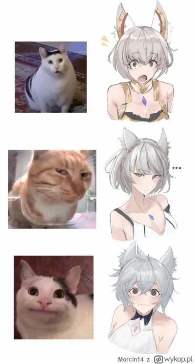 Morcin14 - Pytasz czy kradzione a ja odpowiadam że nawet nie sprawdziłem czy ktoś już...