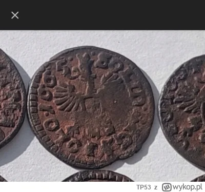 TP53 - Dobra już mam. To szeląg Jana Kazimierza. Widać charakterystycznego orzełka