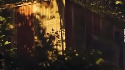 Ciastek-kompot - Szykujcie sie na atamówke  #famemma  #olbrzymidzie