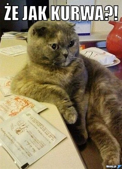 Bagnetemmoimfrancuskim - >według statystyk co drugi trukel na tagu ruchał.

@Kontonaw...