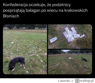 Lukardio - A taki Memtzen fajny, amerykański

#krakow 

#pochowacpodprogiem #mentzen ...