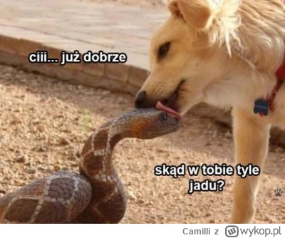 Camilli - @she-wolf1993: Temat Brytyjczykach i Irlandczykach. Tymczasem egdy lewica:
...