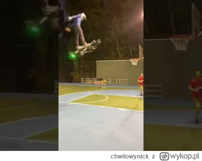 chwilowynick - Dumb way to die