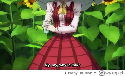 Czarny_muflon - #anime #touhou