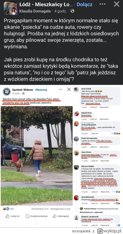 mrsopelek - Pani Domagała z RiGCzem #psiarze #lodz