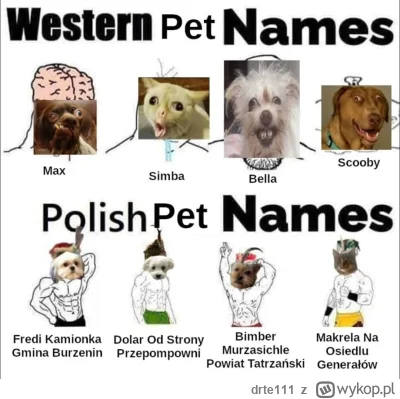 drte111 - #humorobrazkowy