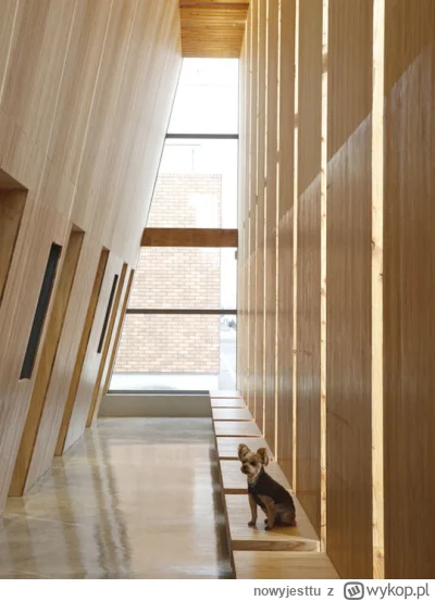 n.....u - Klinika Weterynaryjna Miyamura w Tokio.
Ta wysoce wyposażona klinika wetery...