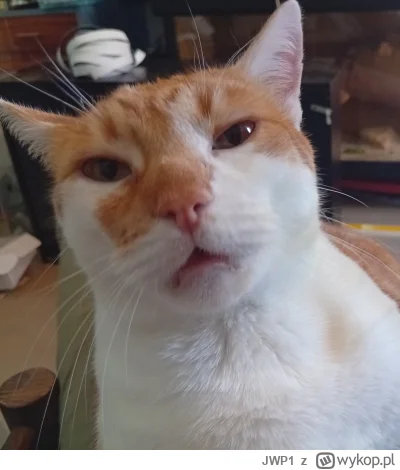 JWP1 - @JWP1 Zgadnijcie jaka to różowa z mirko? XD