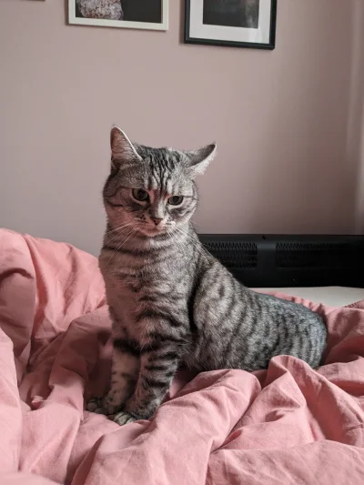 b0dyload - @redorbiter: niee :< tęskni mi się za moim, dlatego przeglądam cudze.. moj...