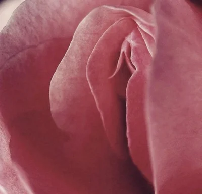 oficjalniemartwa - #ogrodnictwo ʕ•ᴥ•ʔ