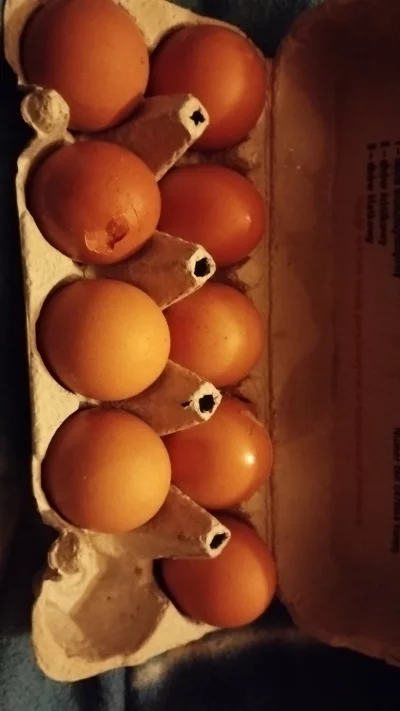 essla - Kupiłem jajka i jednego nie było, ale scam XD chyba że to ktoś ukradł czy coś...