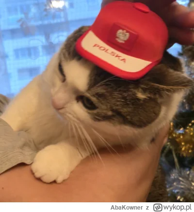 AbaKowner - #spaslak