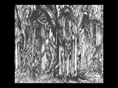 KrolCyganowWladcaPatologii - @Handstander12: Ok Sunn O)))ski