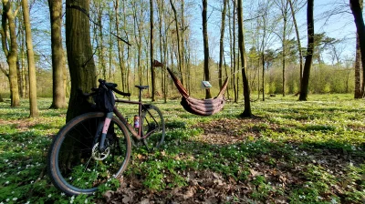 mlek - spoko ta majóweczka, taka nie za ciepła #hamakboners #gravel