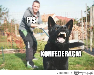 V.....e - Jeśli konfederosja go krytykuje, to znaczy, że należy oddać na niego głos.
...