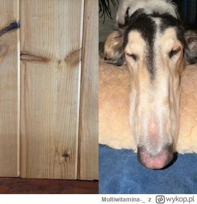 Multiwitamina-_ - Uczę się desek. One uczą się mnie. Patrząc, oczy podążają, jak wizj...