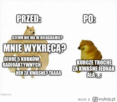 ecco - @plazma: poniższy mem nie wziął się znikąd ( ͡° ͜ʖ ͡°)