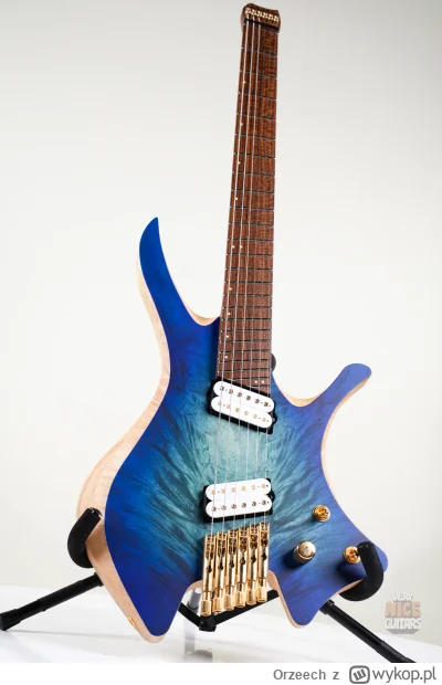 Orzeech - #orzechowegraty #gitaraelektryczna #gitara

Nasz rodzimy skervesen shoggie