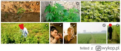 felixd - @Buttholesurfer: @nowart76 @Pytalskimalopolan Tak to właśnie wygląda.